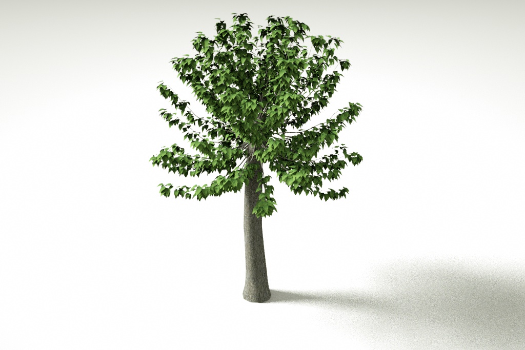 树木模型植物模型